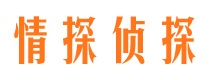 关岭市调查公司